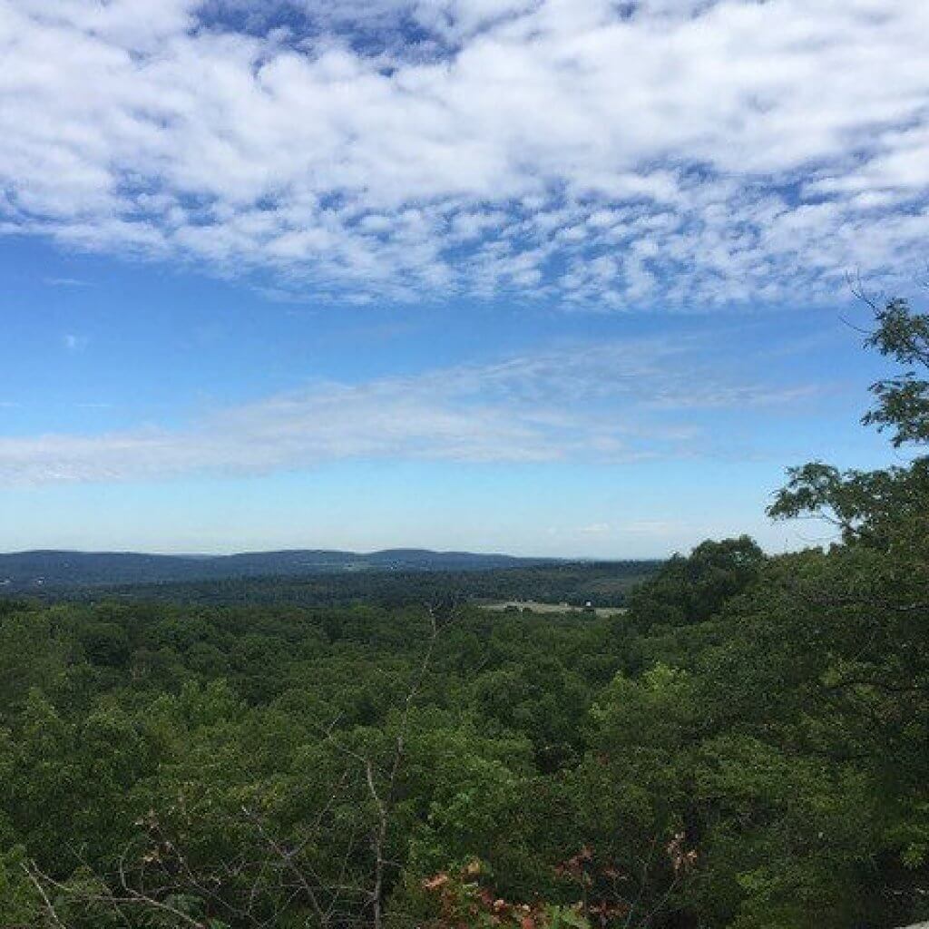 Hike to Millers Pond from a secluded trailhead while enjoying views from Bear Rock, mountain laurel groves, cliffs, and a variety of forest ecosystems along the way.