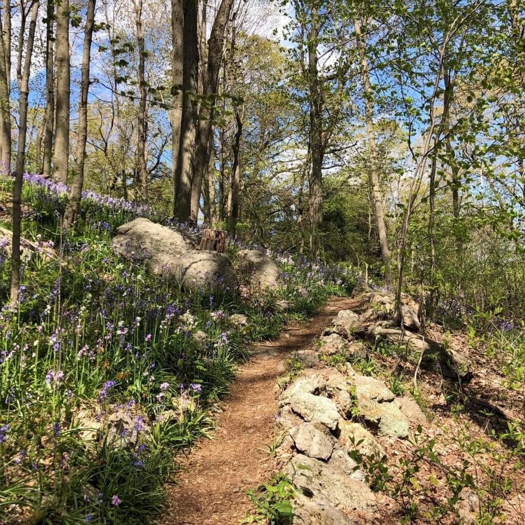 An easy stroll through gardens and woodlands, you won't want to miss the springtime flowers on the Palmer Trail.