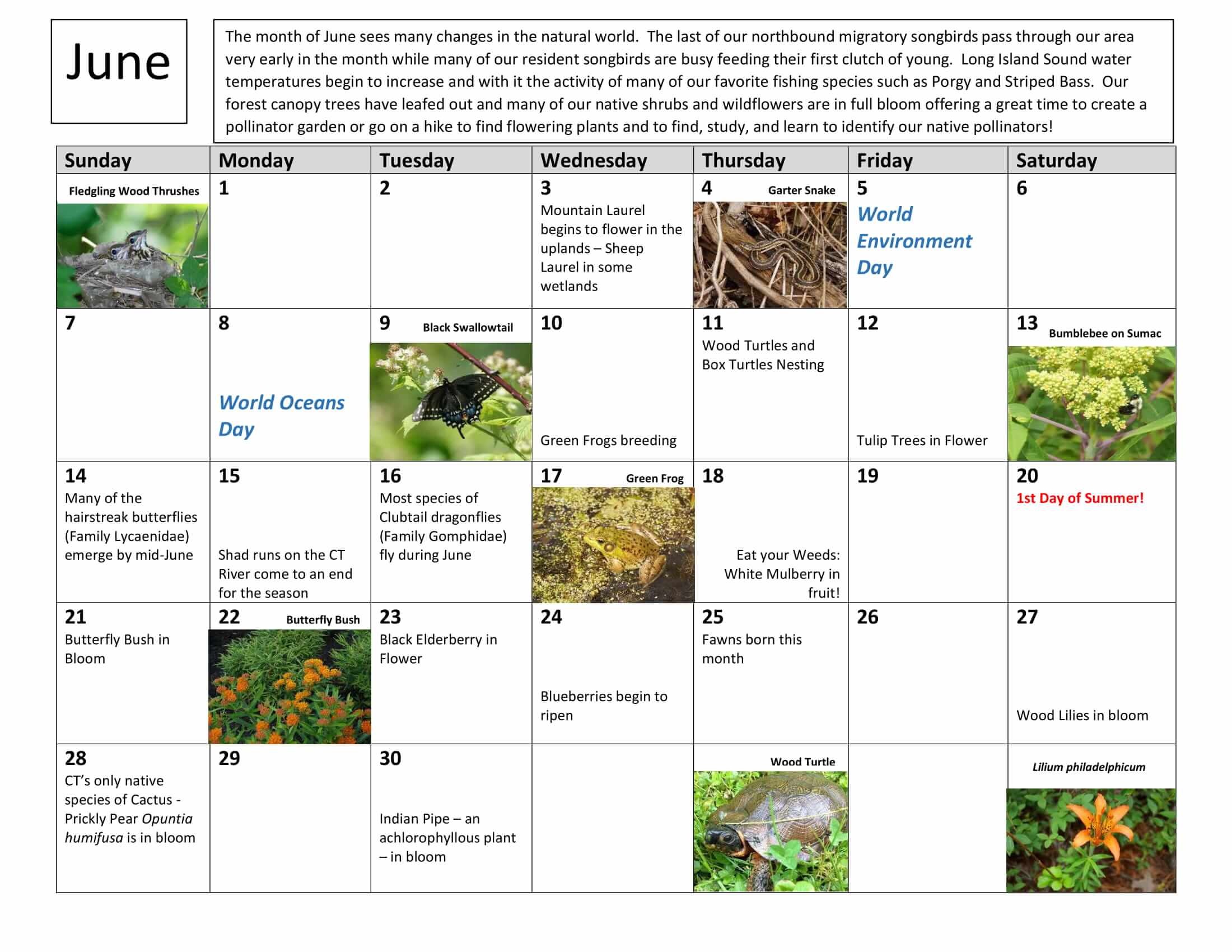 June Nature Calendar