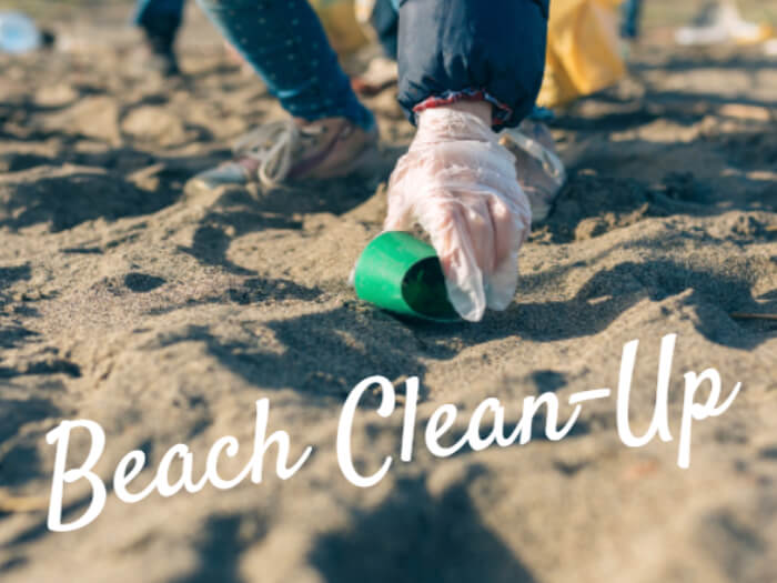 Beach Clean-up